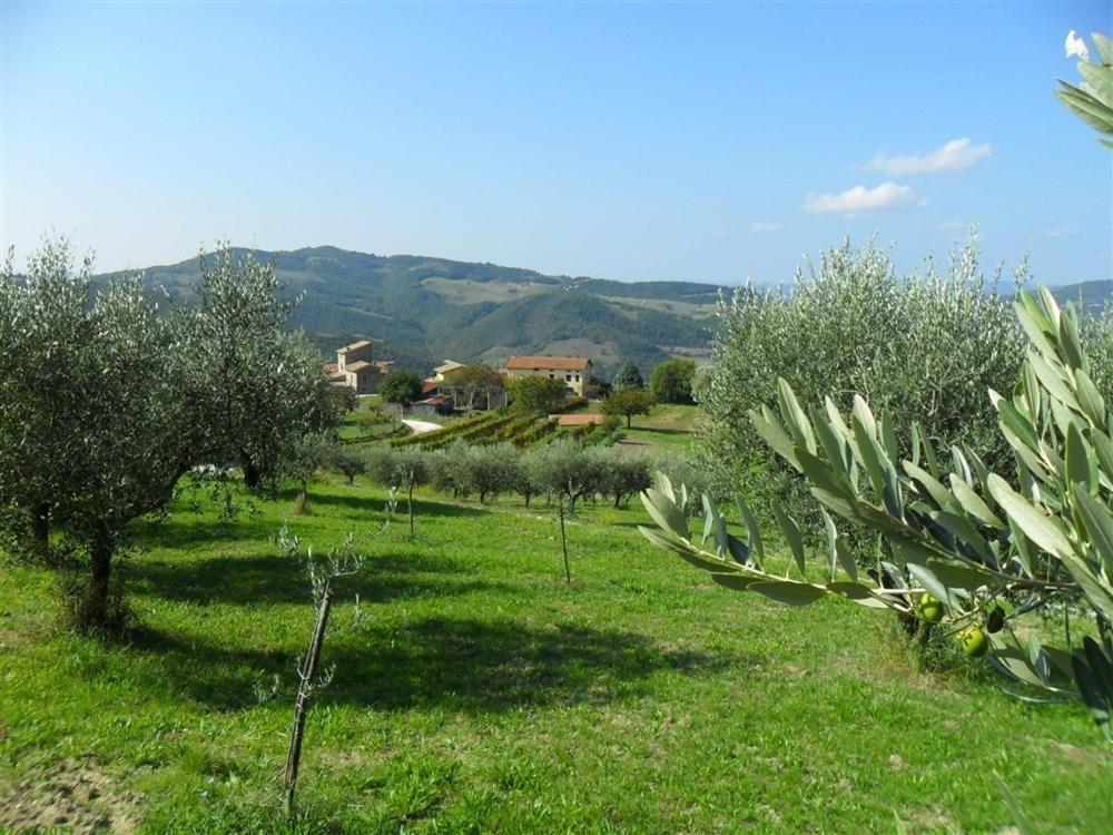 La Cinci Allegra Valfabbrica Dış mekan fotoğraf