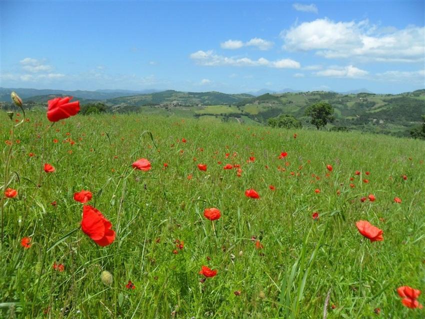 La Cinci Allegra Valfabbrica Dış mekan fotoğraf